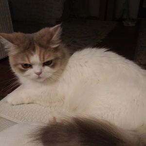 Meet your Posher, Marcy